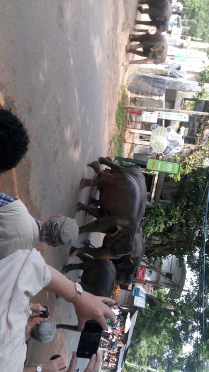 Relax Home Rambukkana Luaran gambar
